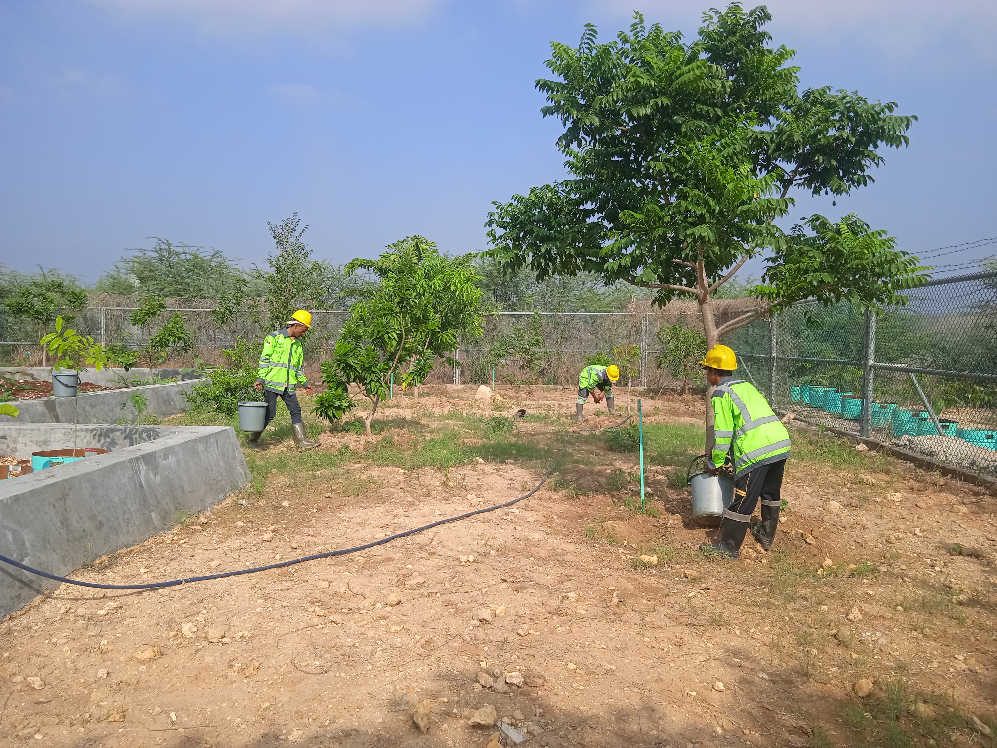 Penyiraman Project 1