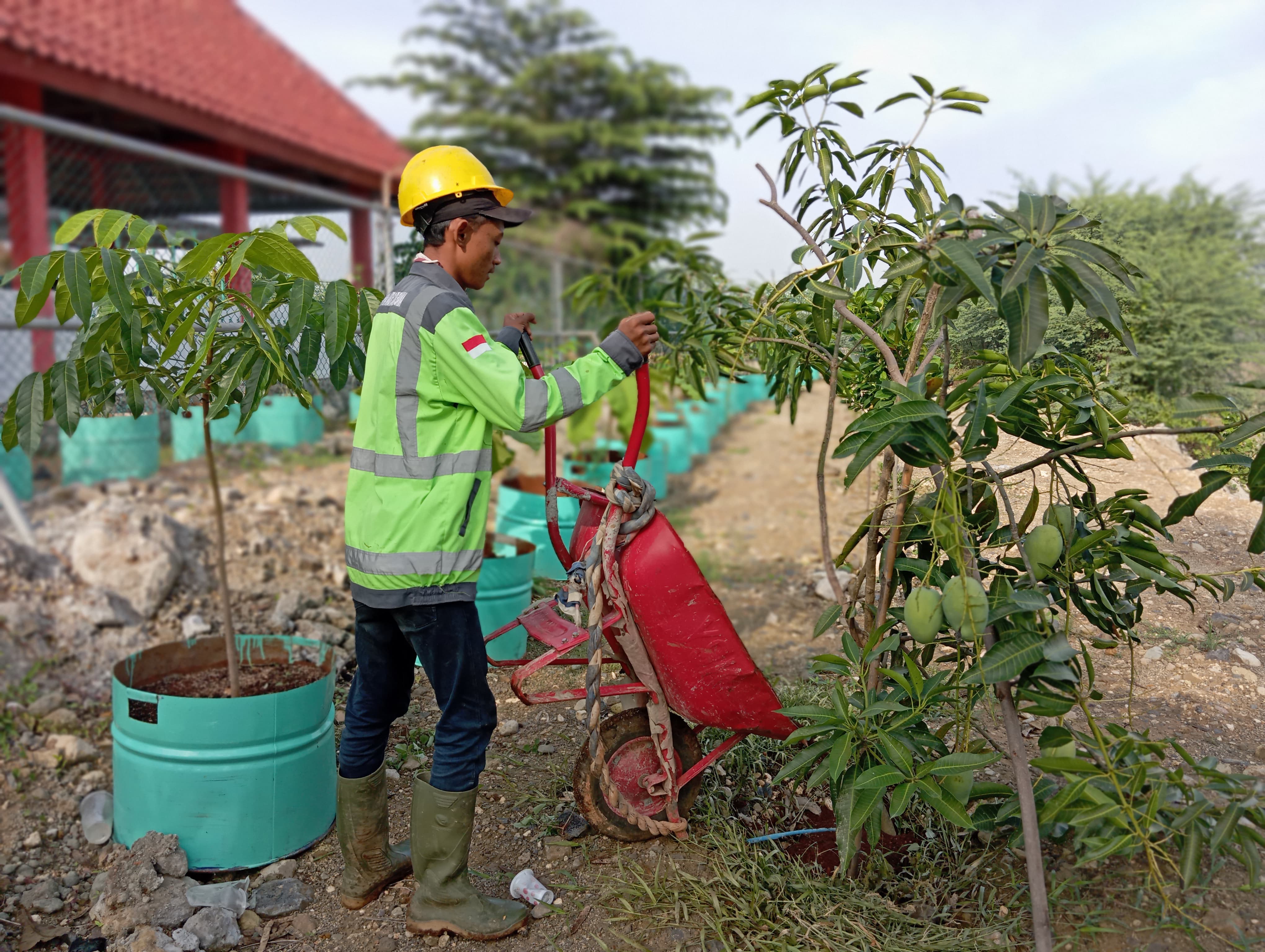 Penyiraman Project 5