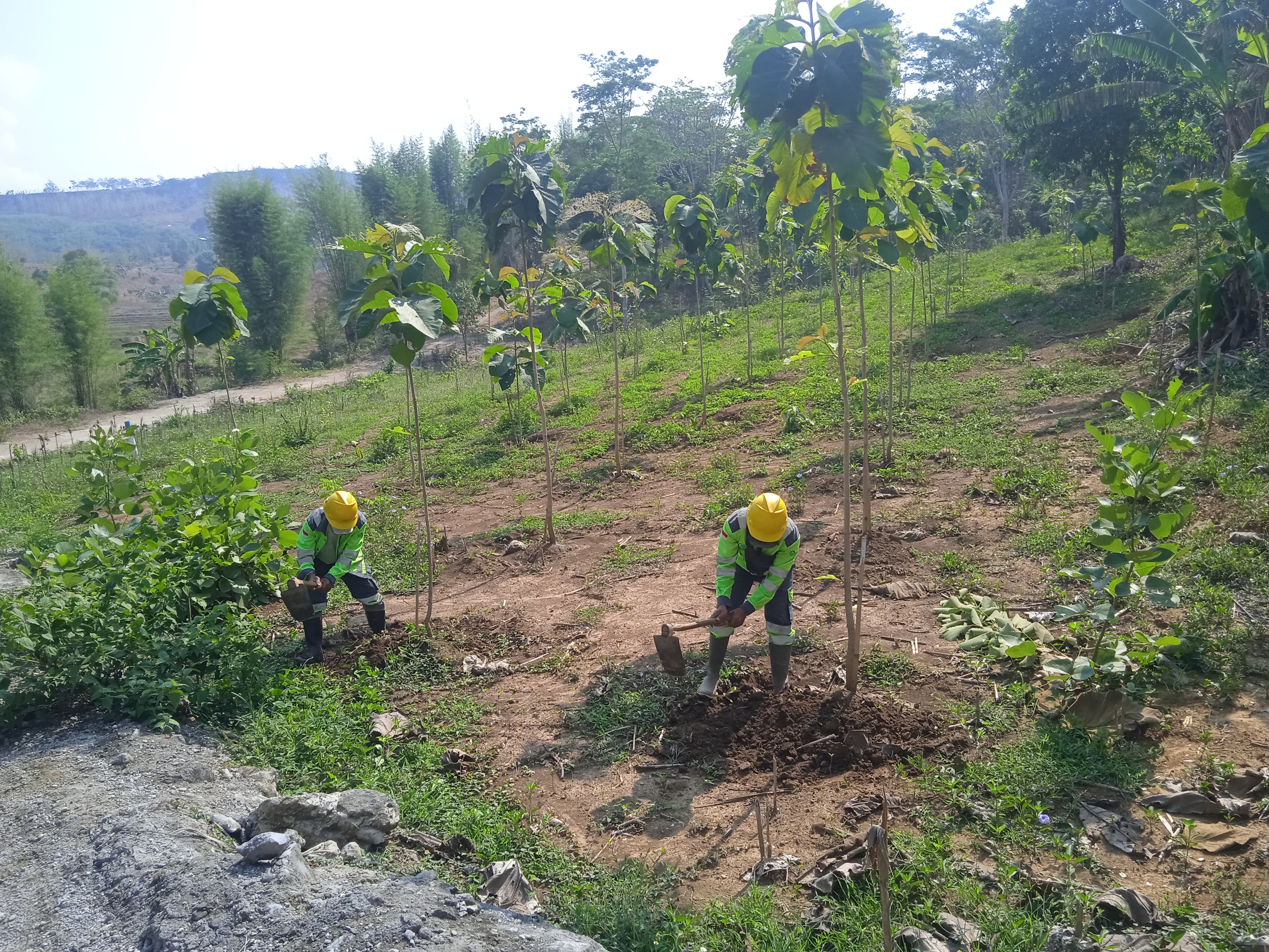Penyiraman Project 6